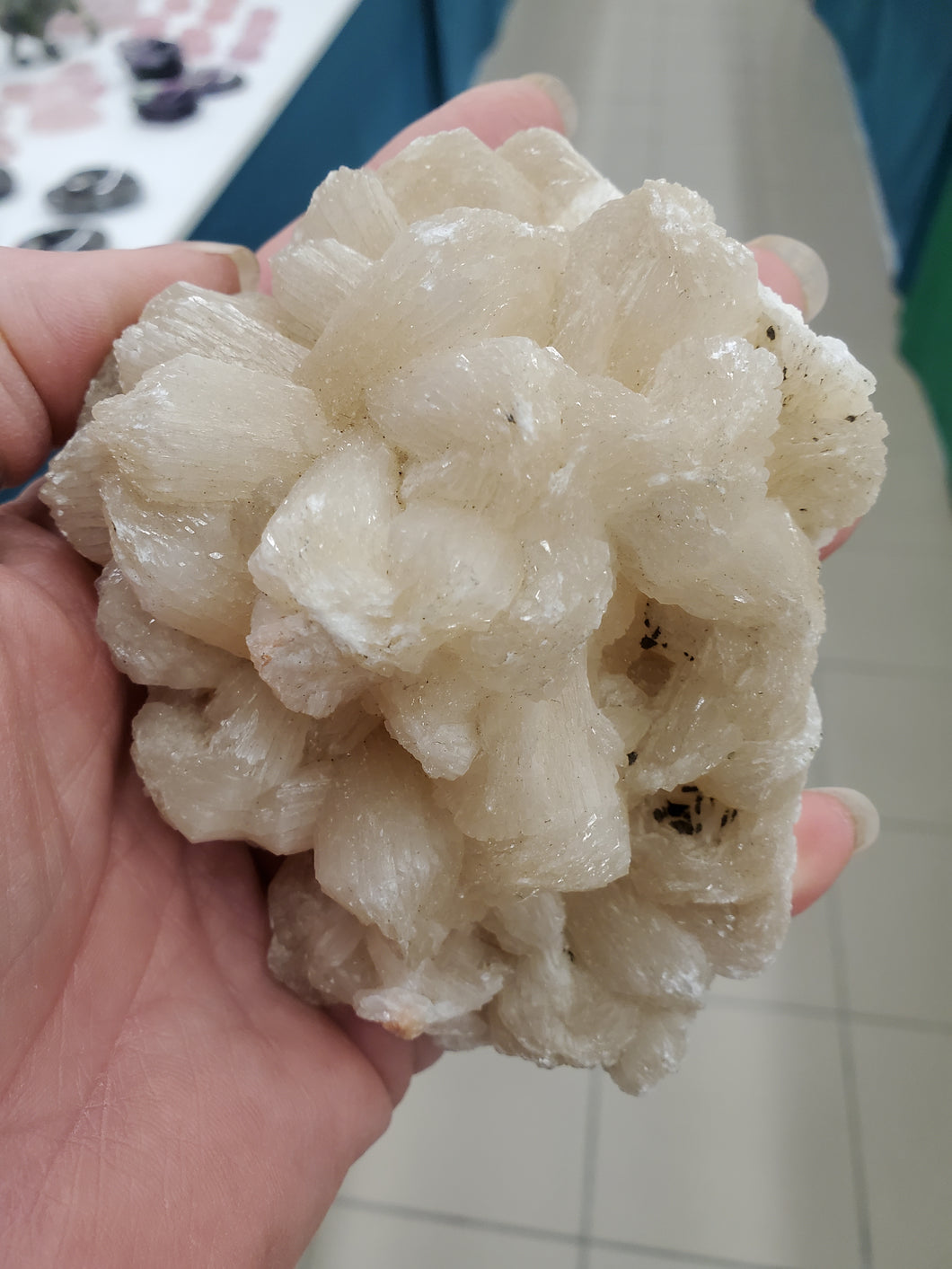 ZEOLITE CLUSTER