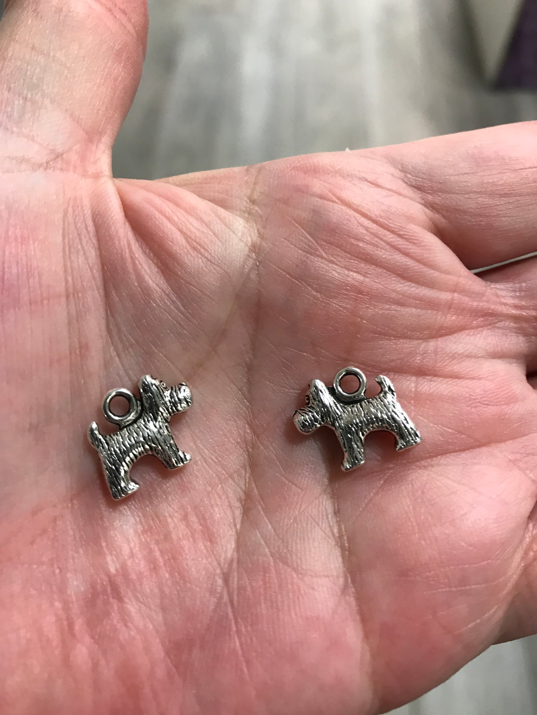 TERRIER CHARM