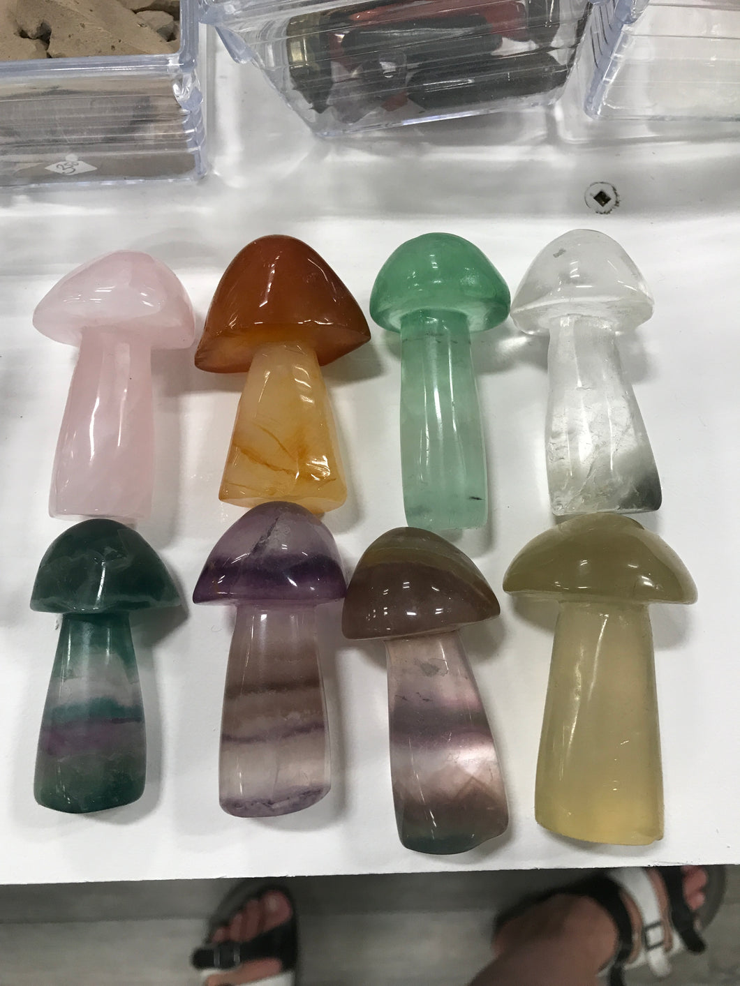 GEMSTONE MUSHROOMS