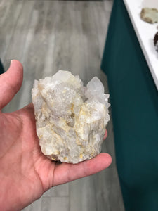 SPIRIT CACTUS QUARTZ