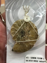 Load image into Gallery viewer, AMMONITE SILVER WIRE WRAPPED
