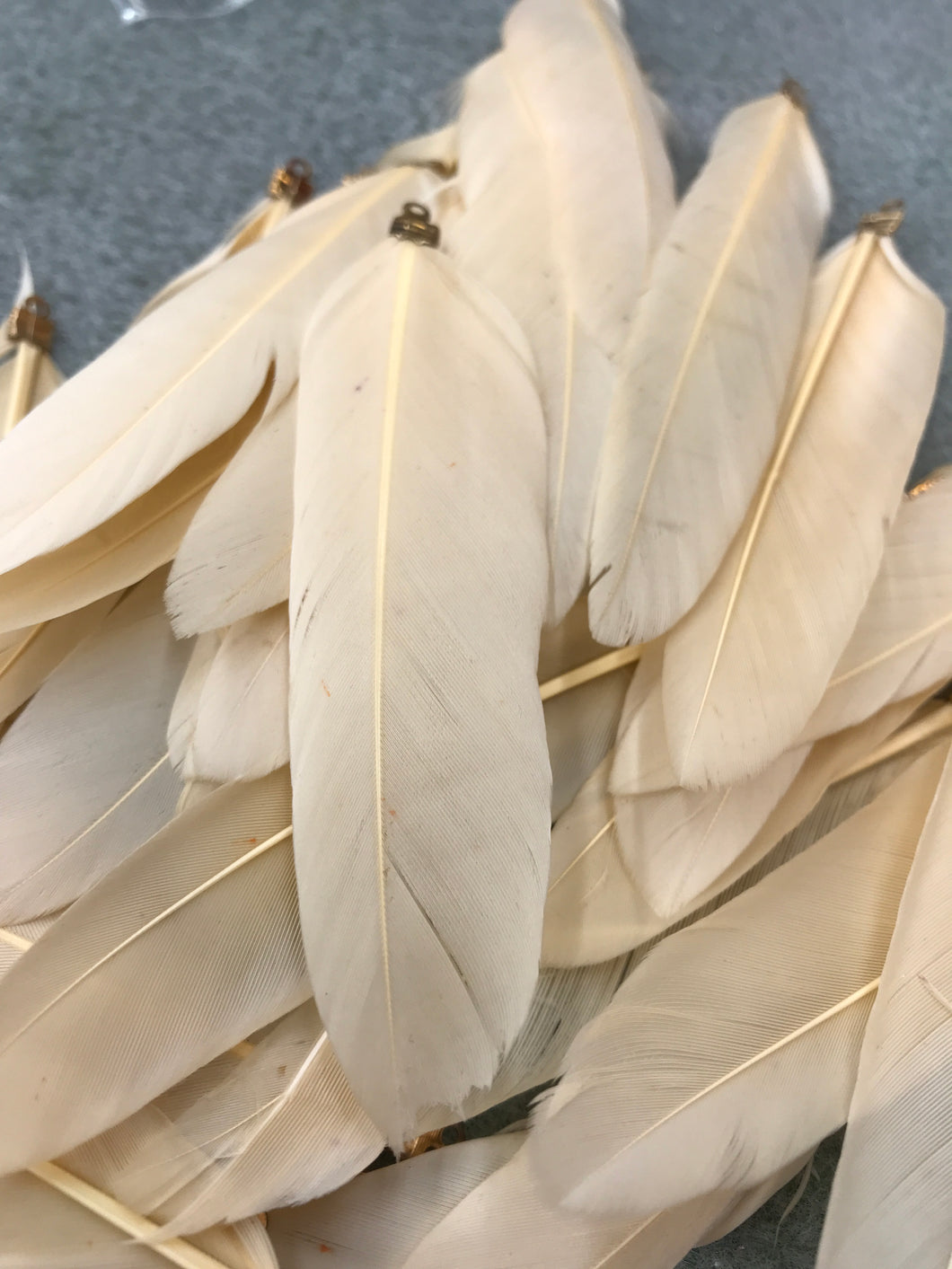 GOOSE FEATHERS