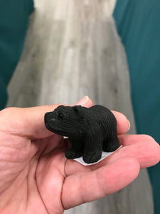 OBSIDIAN BEAR