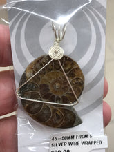 Load image into Gallery viewer, AMMONITE SILVER WIRE WRAPPED
