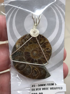 AMMONITE SILVER WIRE WRAPPED