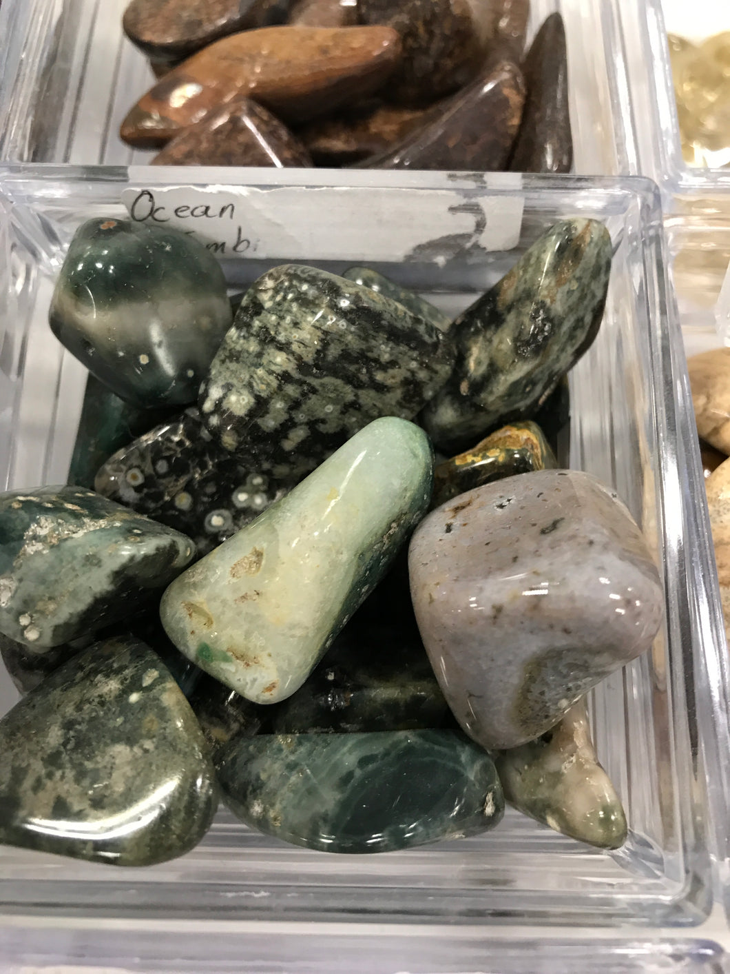 OCEAN JASPER MD